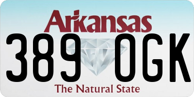 AR license plate 389OGK