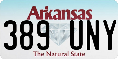 AR license plate 389UNY