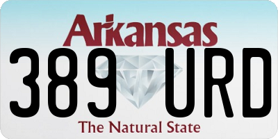 AR license plate 389URD