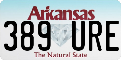 AR license plate 389URE