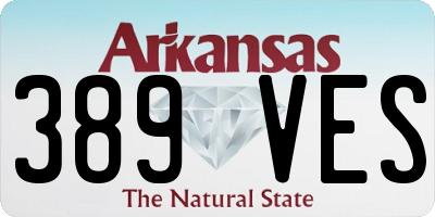 AR license plate 389VES