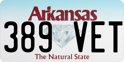 AR license plate 389VET