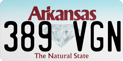 AR license plate 389VGN