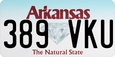 AR license plate 389VKU