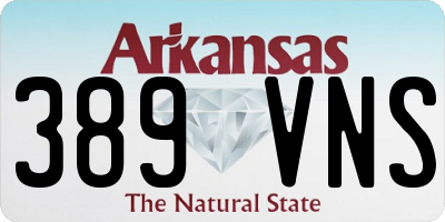 AR license plate 389VNS