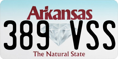 AR license plate 389VSS