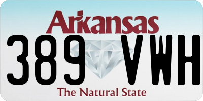 AR license plate 389VWH