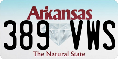 AR license plate 389VWS