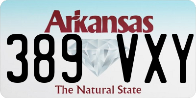 AR license plate 389VXY