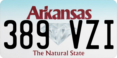 AR license plate 389VZI