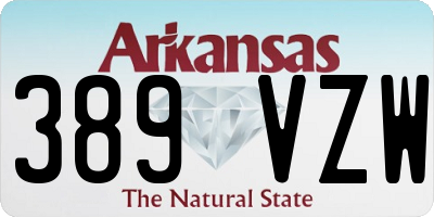 AR license plate 389VZW