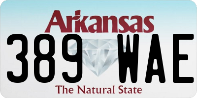 AR license plate 389WAE