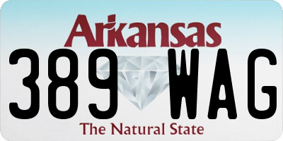 AR license plate 389WAG
