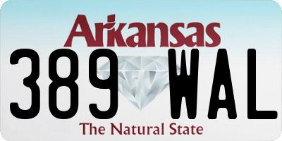 AR license plate 389WAL