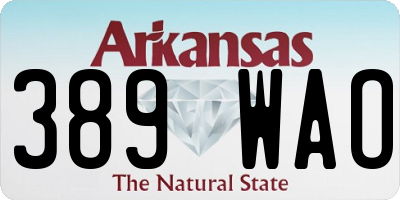 AR license plate 389WAO