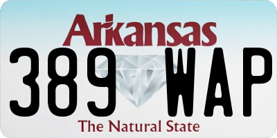 AR license plate 389WAP