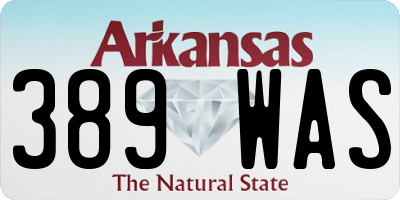 AR license plate 389WAS