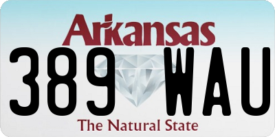 AR license plate 389WAU