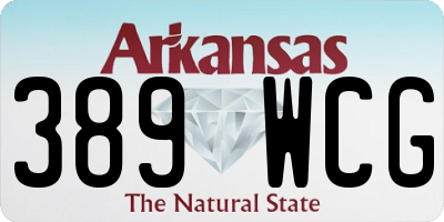 AR license plate 389WCG