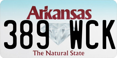 AR license plate 389WCK