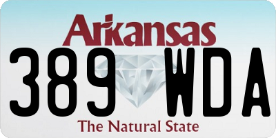 AR license plate 389WDA