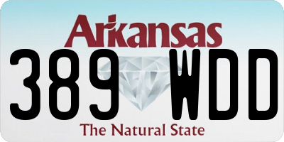 AR license plate 389WDD