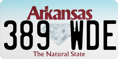 AR license plate 389WDE