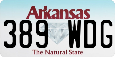 AR license plate 389WDG