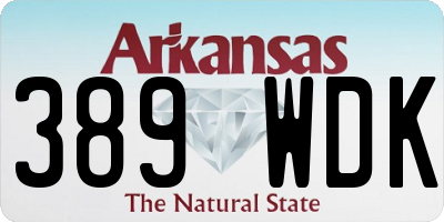 AR license plate 389WDK