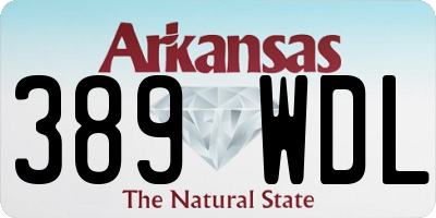 AR license plate 389WDL