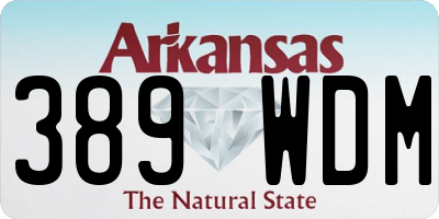 AR license plate 389WDM