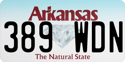 AR license plate 389WDN