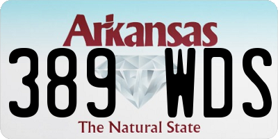 AR license plate 389WDS