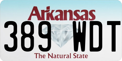 AR license plate 389WDT