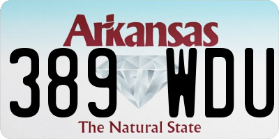 AR license plate 389WDU