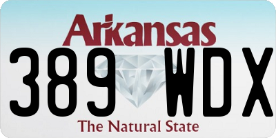 AR license plate 389WDX