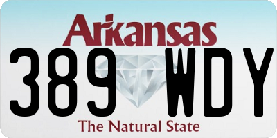 AR license plate 389WDY