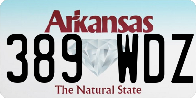 AR license plate 389WDZ
