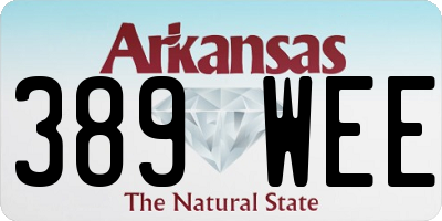 AR license plate 389WEE