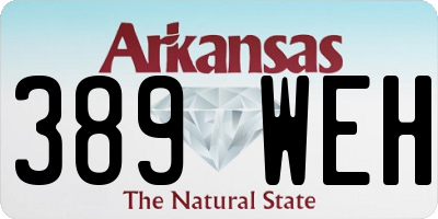 AR license plate 389WEH