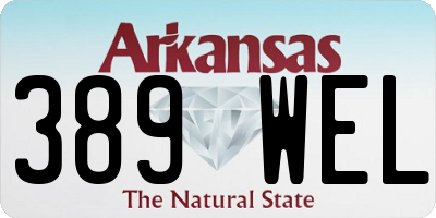 AR license plate 389WEL