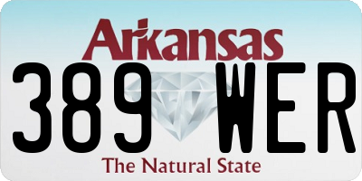 AR license plate 389WER