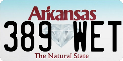 AR license plate 389WET