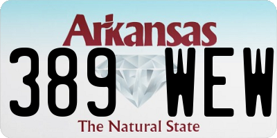 AR license plate 389WEW