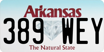 AR license plate 389WEY
