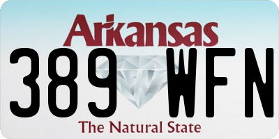 AR license plate 389WFN