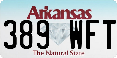 AR license plate 389WFT