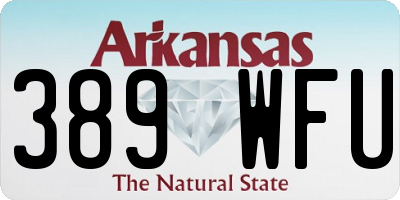 AR license plate 389WFU