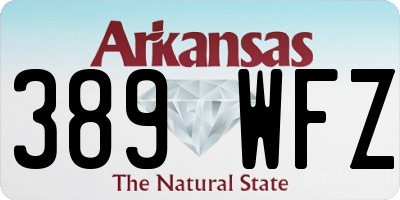AR license plate 389WFZ