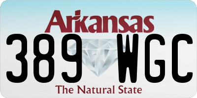 AR license plate 389WGC